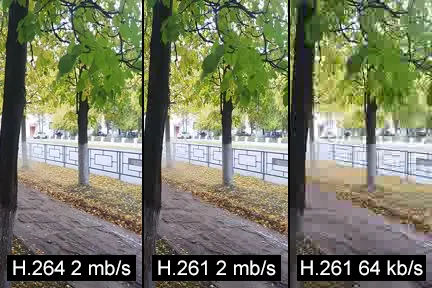 Pick Your Codec, Pick Your Future: A Plain-English Guide to Video Formats That Will Actually Last